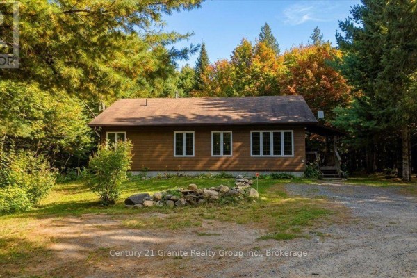 Wider view of the front of a brown wood-sided house surrounded by mature trees. - 649 Madawaska Road, Hastings Highlands
