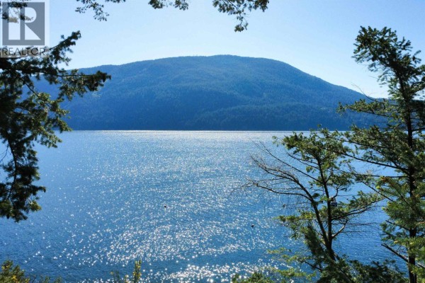 Sparkling blue water stretches towards a large, tree-covered mountain under a clear blue sky, framed by pine trees. - 65 Esplanade Road, Keats Island