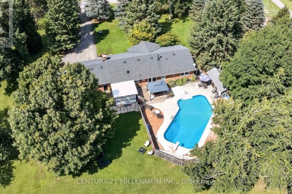 Aerial view of a house with a blue pool, patio, and surrounding trees. - 65 Maplewood Drive, Amaranth