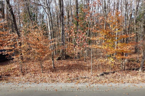 65 North Sandy Plains Road, Seguin, ON P2A2W8 Photo 3