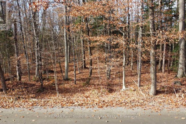 65 North Sandy Plains Road, Seguin, ON P2A2W8 Photo 4