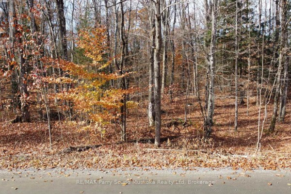 65 North Sandy Plains Road, Seguin, ON P2A2W8 Photo 5