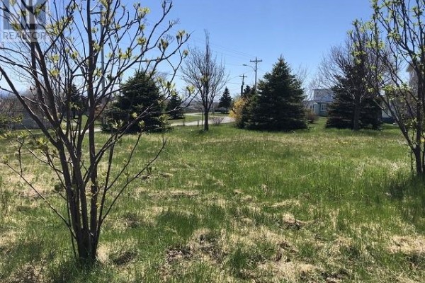 65 Ohio Drive, Stephenville, NL, photo 3