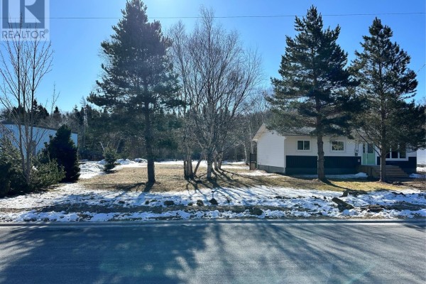 65 Tilley's Road, Clarenville, NL A5A1Z3 Photo 3