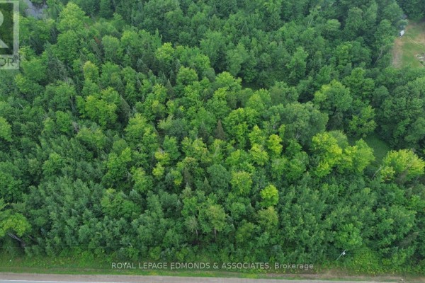650 Westmeath Road, Whitewater Region, ON K8A6W2 Photo 5