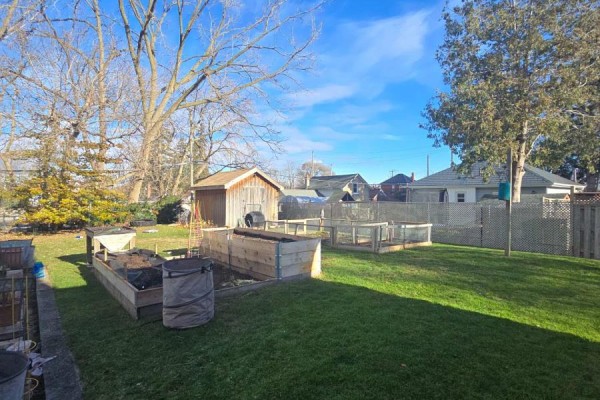 Raised garden beds, shed, and lawn - 657 Frances Street Woodstock