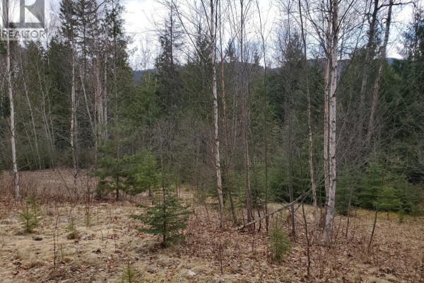 657 Hoirup Road, Clearwater, BC, photo 2