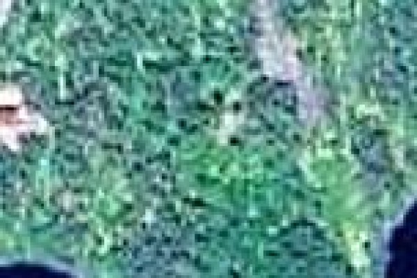 65a Connors Cove Road, Brigus Junction, NL A0B1G0 Photo 4