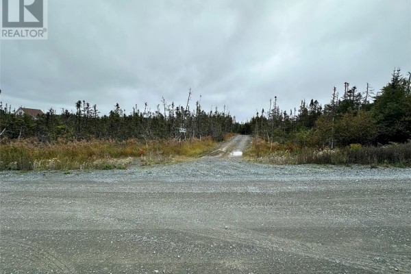 65b Connors Cove Road, Brigus Junction, NL A0B1G0 Photo 5