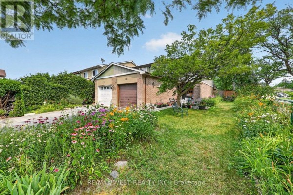 Kitchen - 66 Bushwood Court, Toronto, ON M1B2T1 Photo 3