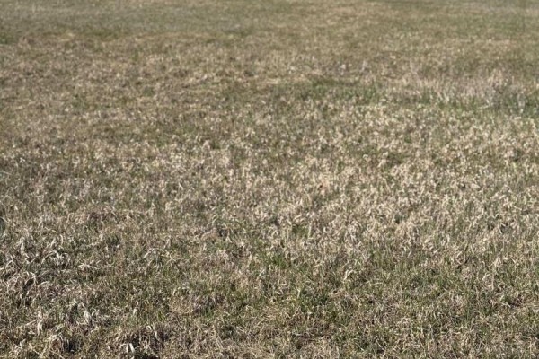 66 Concession Rd. 8 E, Trent Hills, ON, photo 3
