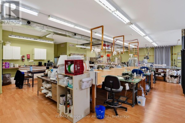66 Elgin Street W, Cobourg, ON K9A5T4 Photo 4