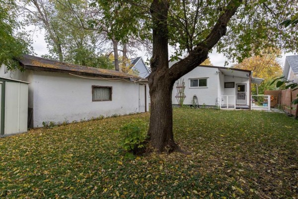 View of a backyard with a large tree, detached garage, and a lawn scattered with autumn leaves. - 66 Essar Avenue, Winnipeg