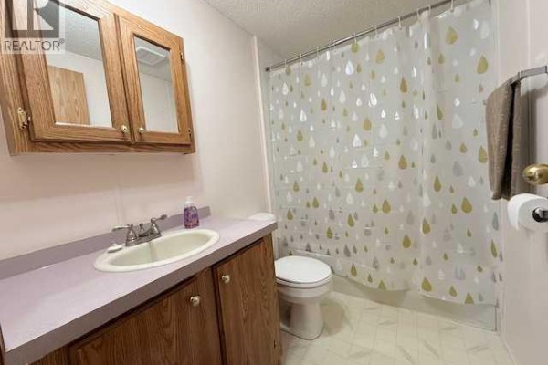Other - 66 Parkland Acres, Lacombe, AB T4L1S9 Photo 5