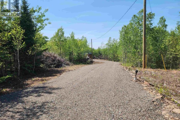 6617 Highway 321, Roslin, NS B0K1K0 Photo 3