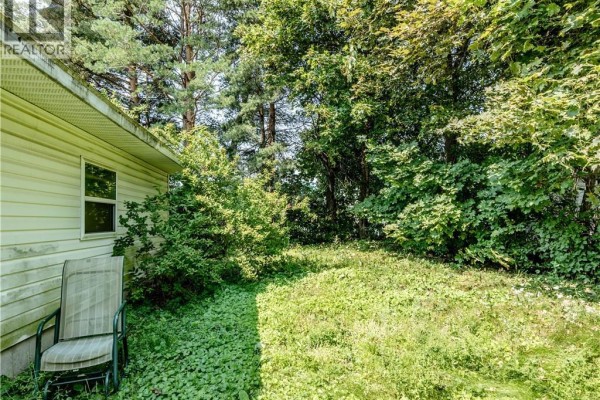 Overgrown green backyard with trees and an outdoor chair next to the house. - 662 Evangeline, Dieppe