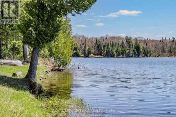 Family room - 662a Long Lake Road, Madawaska Valley, ON K0J1B0 Photo 3