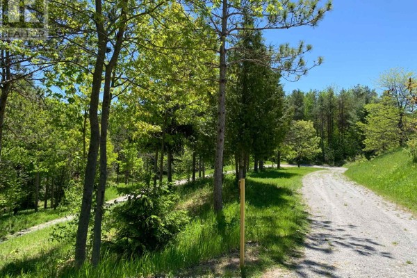 6677 Concession 2 Road, Uxbridge, ON L6P0H6 Photo 5