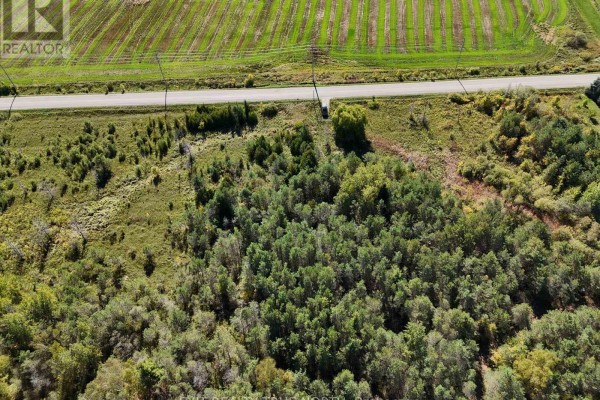 6696 33/34 Nottawasaga Side Road, Clearview, ON L0M1S0 Photo 4