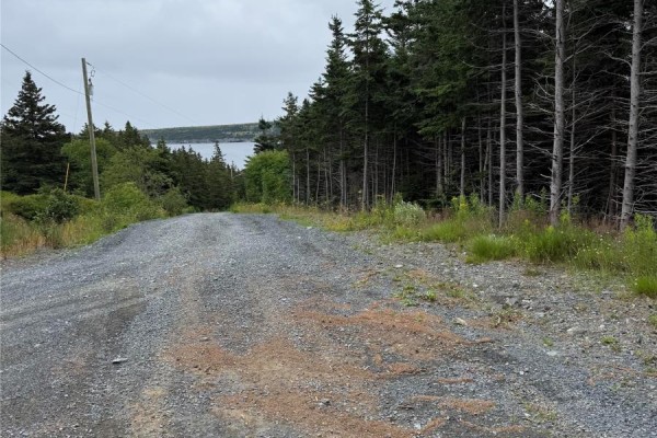 67 - 85 Kildare Road, Harbour Grace, NL A0A3M0 Photo 4