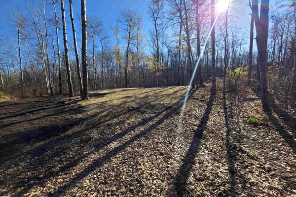 #67 53103 Rge Road 14, Rural Parkland County, AB T7Y2T3 Photo 3