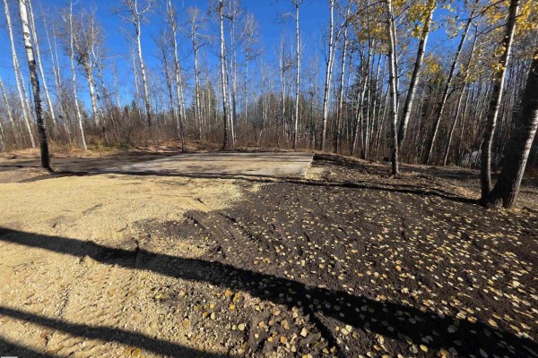 #67 53103 Rge Road 14, Rural Parkland County, AB T7Y2T3 Photo 5
