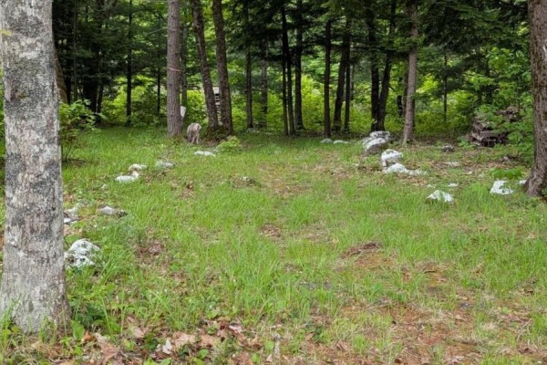 67 Station Road, Kinsac, NS, photo 3