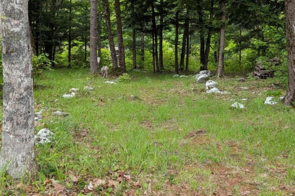 67 Station Road, Kinsac, NS B4G1C8 Photo 5