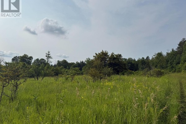 670 Scotch Settlement Road, Madoc, ON K0K2K0 Photo 2