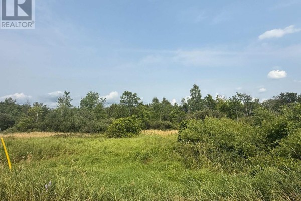 670 Scotch Settlement Road, Madoc, ON K0K2K0 Photo 3