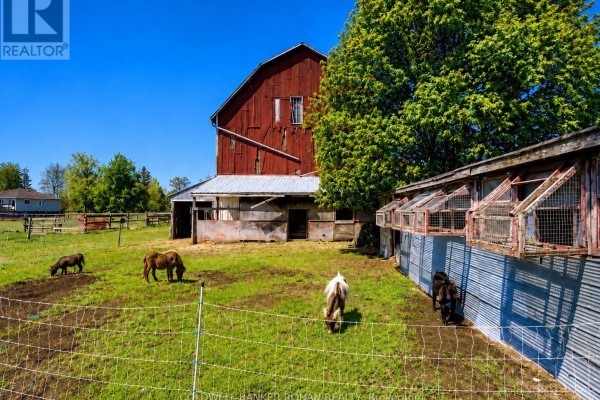 Several horses graze in a green field next to a large red barn and enclosures. - 6703 Pine Plains Road E, Adjala Tosorontio