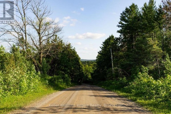 678075 Centre Road, Mulmur, ON L0N1S7 Photo 5
