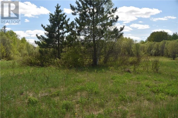 Two pine trees stand in a grassy clearing surrounded by deciduous trees. - 68 Lot B Plante Road, Lavigne