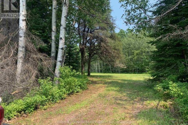 A dirt path leading into a bright grassy clearing with trees on either side. - 680 Hwy 11/17, Dorion