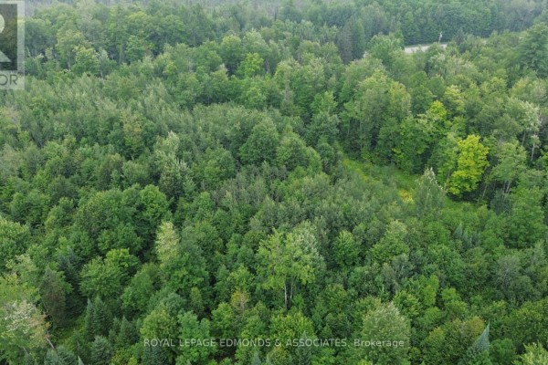 680 Westmeath Road, Whitewater Region, ON K8A6W2 Photo 5