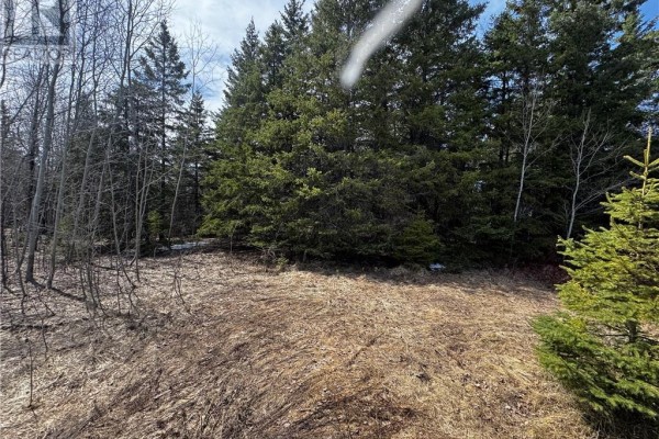 6807 Highway 17 E, Sudbury, ON P0M1M0 Photo 4