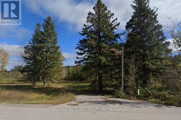6814 Highway 35, Kawartha Lakes, ON, photo 2