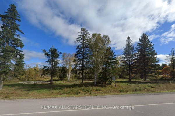 6814 Highway 35, Kawartha Lakes, ON K0M2K0 Photo 4