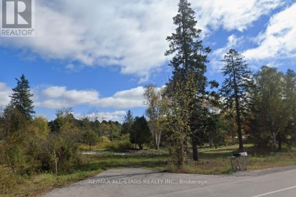 6814 Highway 35, Kawartha Lakes, ON K0M2K0 Photo 5