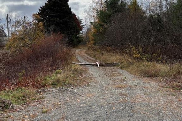 682 Boyd Road, Elmsville, NB E5A1M8 Photo 2