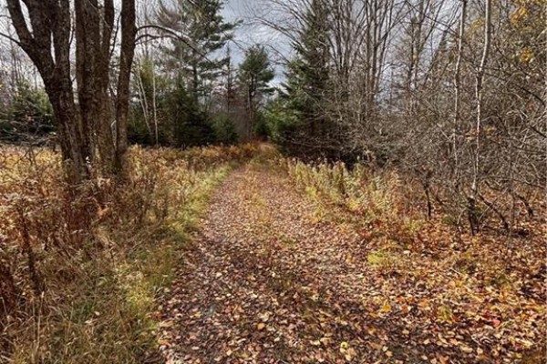682 Boyd Road, Elmsville, NB E5A1M8 Photo 4