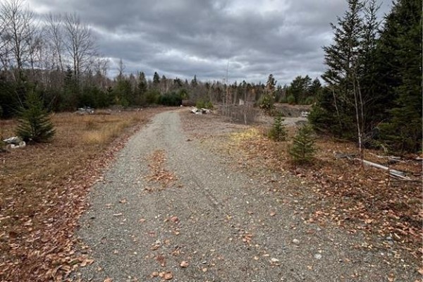 682 Boyd Road, Elmsville, NB E5A1M8 Photo 5