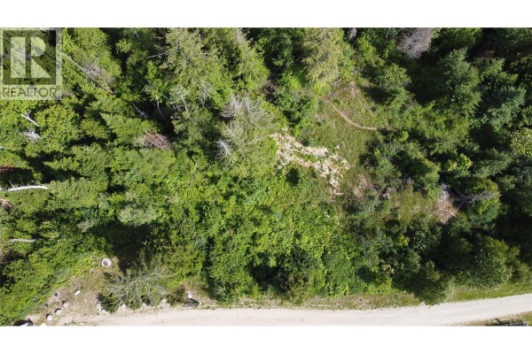 6820 Grandview Drive, Nelson, BC V1L5P3 Photo 4