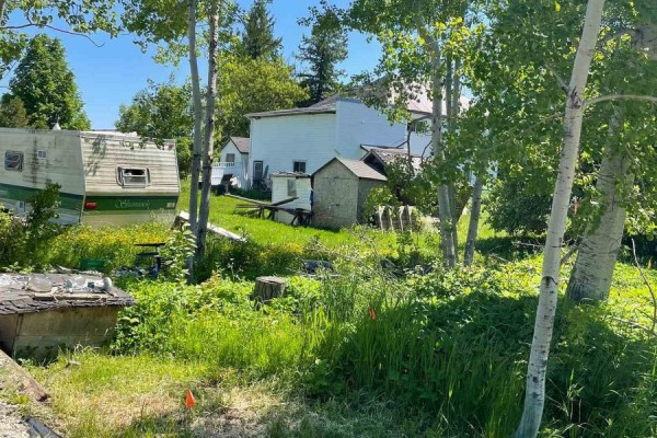 Backyard view of a white house with a trailer, sheds, and overgrown greenery. - 682419 260 Side Road, Melancthon