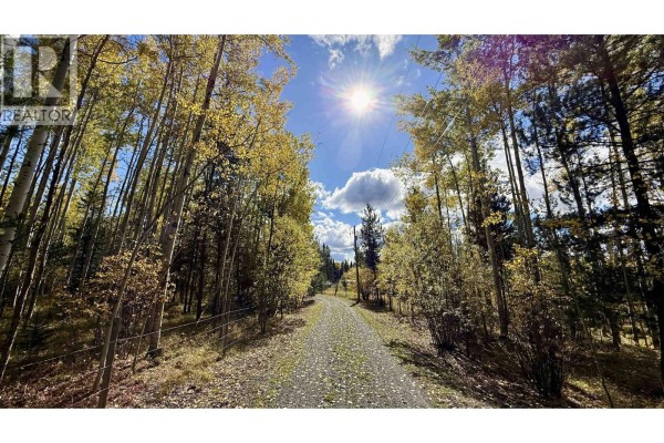 Gravel driveway lined with trees in autumn, leading through the property. - 6836 Fawn Creek Road, Lone Butte