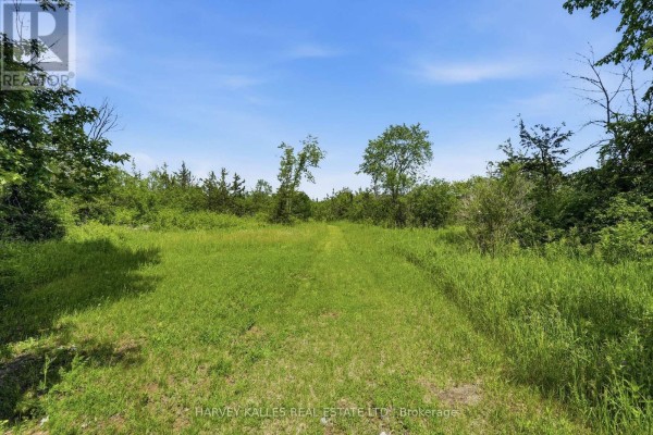 685 County 8 Road, Prince Edward County, ON K0K2T0 Photo 3