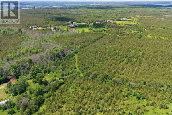 685 County 8 Road, Prince Edward County, ON K0K2T0 Photo 5