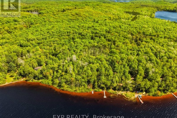 686 East Fox Lake Road, Huntsville, ON P1H2J2 Photo 4