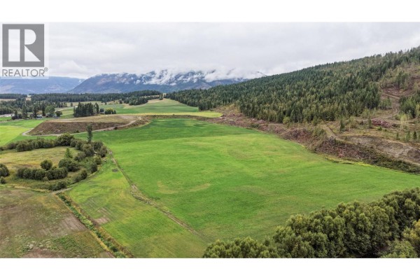 687 Mabel Lake Road, Lumby, BC V0E2G5 Photo 2