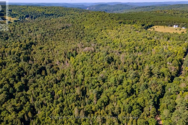 688 Prince Road E, Madawaska Valley, ON K0J2N0 Photo 2